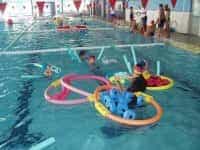 Piscina Municipal - Escuelas Deportivas Municipales y los Clubes Deportivos de Mogán -