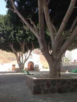 La plaza de Veneguera estrena parterres y un acceso acondicionado 