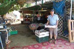 LQ ofrendaVirgendelPino 5514