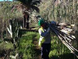 RehPalmeralVenegueraCabildo02