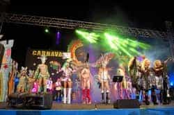 Drag Noa se proclama reinona del Carnaval Costa Mogán 2014 LQ DSC 6632