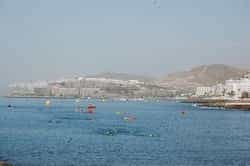 LQ 1eraEdTravNadoArguineguin111