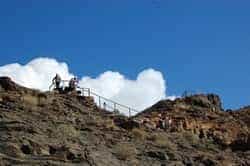 LQ CrucecitasyCLosGatosConectados42