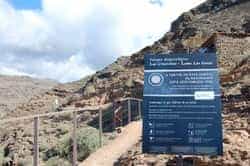 LQ CrucecitasyCLosGatosConectados49