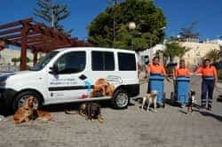 “El perro es tuyo, Mogán es de tod@s” sale a la calle a concienciar a los vecinos para que recojan las heces de sus mascotas LQ CampaniaMascotas35
