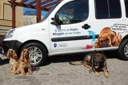 LQ CampaniaMascotas38