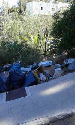 LQ GamberrismoenelMunicipio5