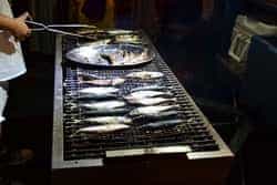 LQ romeriaArguineguin3