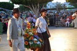 LQ romeriaArguineguin4