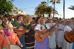 LQ romeriaArguineguin7