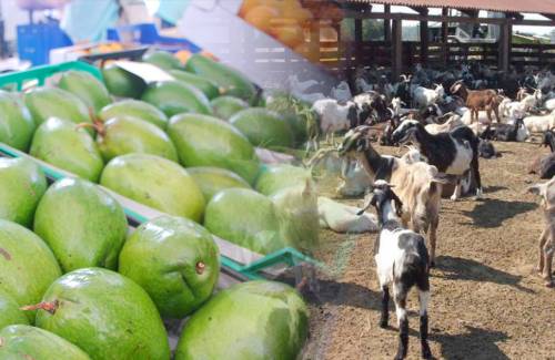 Desarrollo Rural, Promoción y Protección del Medio Ambiente