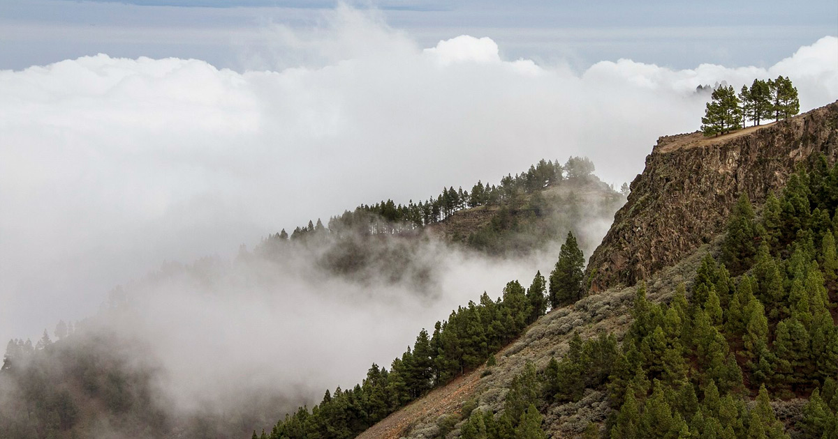 Medio Ambiente, Sanidad y Consumo