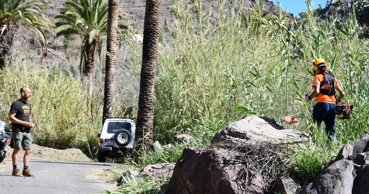 Mogán sigue apostando por la prevención de incendios con el desbroce de 4,3 hectáreas en núcleos rurales