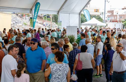 La 3ª Feria del Aguacate de Invierno de Mogán ha puesto a la venta más de 5.300 kilos de ejemplares