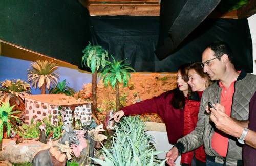 La palmera canaria, protagonista del Belén Ornamental de Mogán