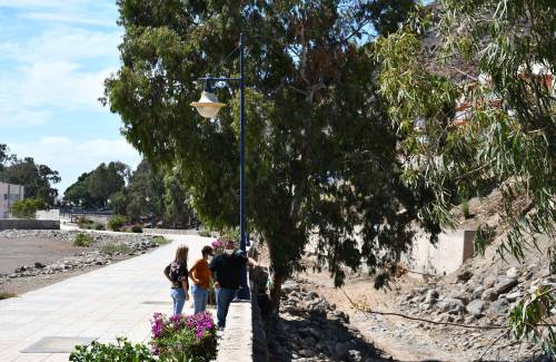 El Ayuntamiento realiza una limpieza integral del barranco en Playa de Mogán