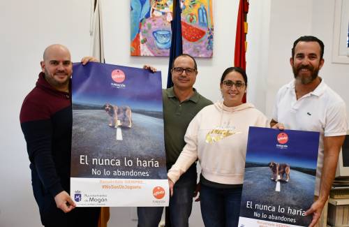 Mogán pone en marcha una campaña contra el abandono animal
