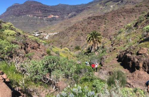 Veneguera y Barranquillo Andrés contarán con albergues para senderistas