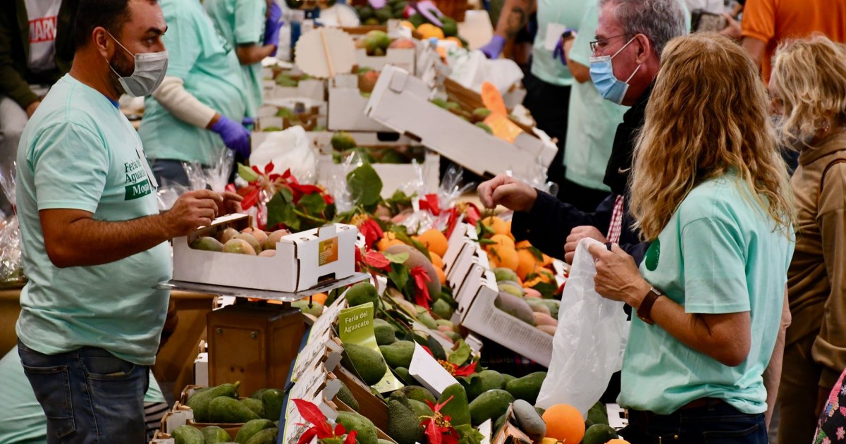 Mogán abre el plazo de inscripción para participar en la VII Feria del Aguacate