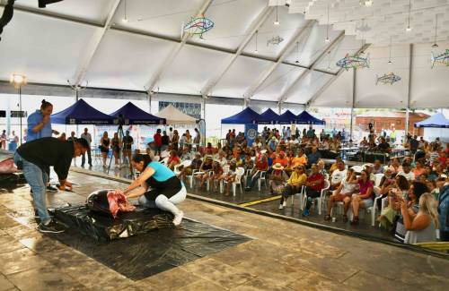 El atún de Mogán exhibe su esplendor y calidad en su quinta Feria