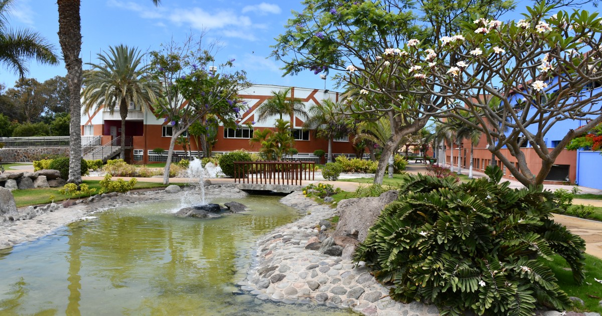 Mogán pone al día las instalaciones eléctricas del Complejo Deportivo David Jiménez Silva