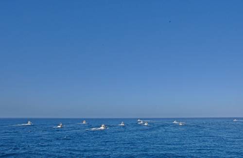 Comienza el XXXIII Campeonato de Pesca de Altura de Puerto Rico