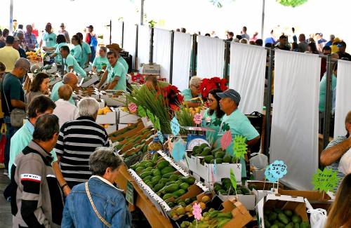 Mogán, puntero en promoción  y ayudas al sector agrícola