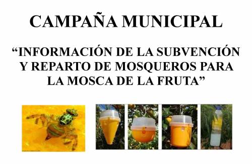 El Ayuntamiento de Mogán subvenciona mosqueros para la mosca de la fruta a agricultores