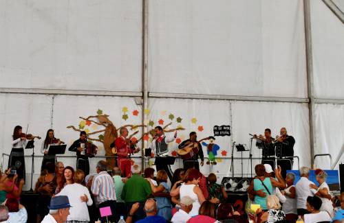 Playa de Mogán acoge el 'Encuentro de Mayores' del municipio