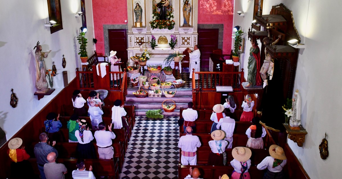 Mogán presenta ante San Antonio El Chico lo mejor de su cosecha
