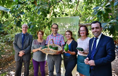 La III Feria del Aguacate de Invierno llegará a Arguineguín el próximo 3 diciembre
