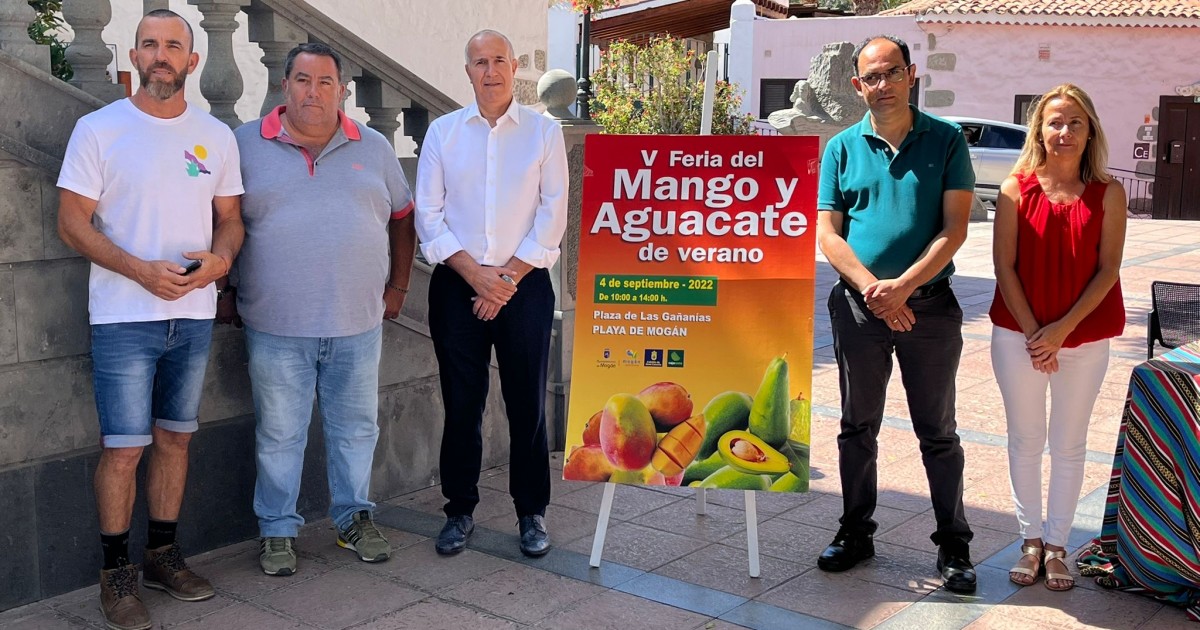 Mogán se prepara para celebrar la V Feria del Mango y del Aguacate de Verano