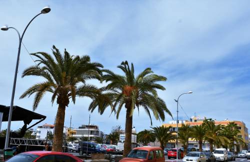 Mogán trabaja en la mejora de las farolas de alumbrado público