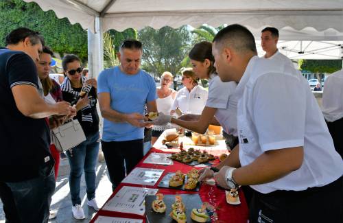 Mogán cuenta en 2019 con cinco nuevos Programas de Formación En Alternancia con el Empleo