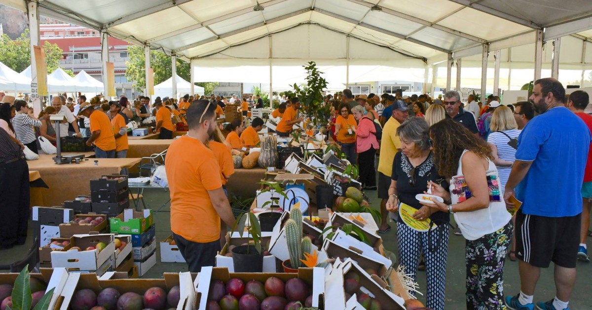 Mogán abre el plazo de inscripción para participar en la IV Feria  del Mango y Aguacate de Verano