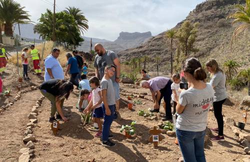 El CEIP Casas de Veneguera  realiza una plantación de flora autóctona