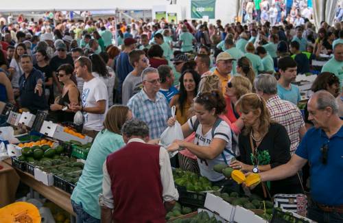 Mogán convoca a los interesados en participar en la 3ª Feria del Aguacate