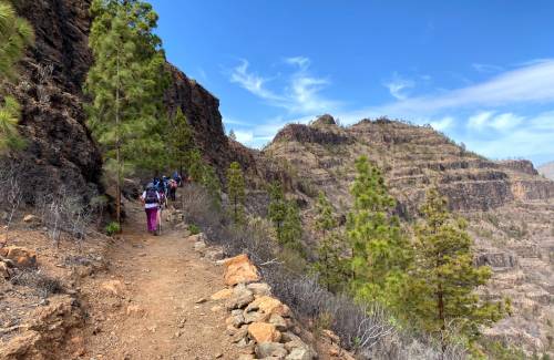 Mogán ya presume de la macrorruta 'Tamaranae: entre riscos y barrancos'