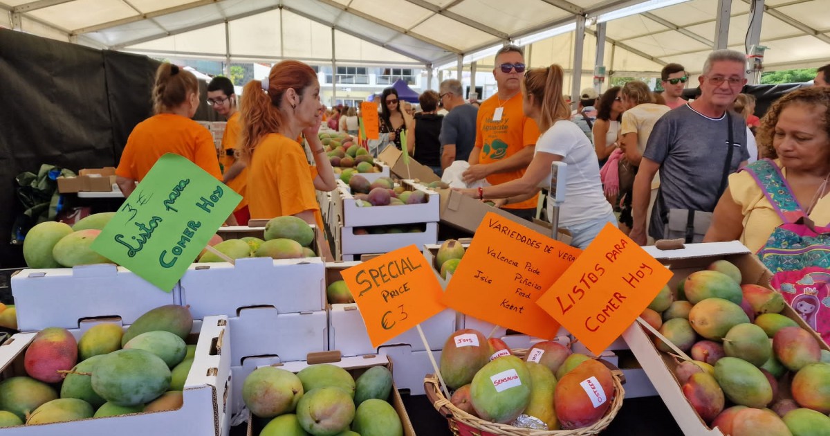 La V Feria del Mango y Aguacate de Verano de Mogán supera todas las expectativas
