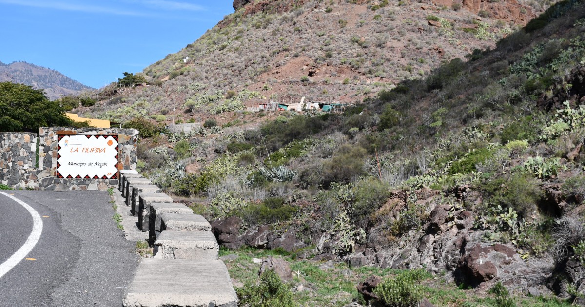 Mogán concluye la retirada de cañaverales y reforestación en Las Filipinas y El Caidero