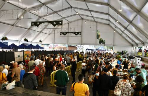 El aguacate moganero levanta pasiones  con 4.000 kilos vendidos en su feria