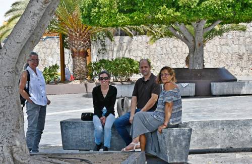 El Ayuntamiento de Mogán y los voluntarios de 'Proyecto C.E.S' aclaran la situación de las colonias felinas del municipio