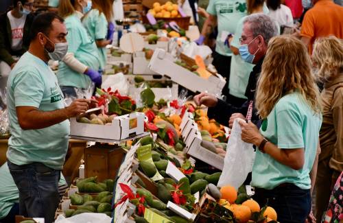 Mogán abre el plazo de inscripción para participar en la VII Feria del Aguacate