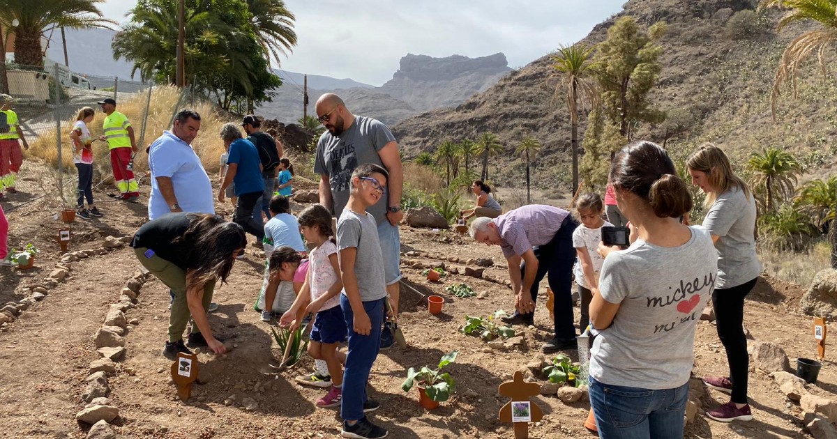 El CEIP Casas de Veneguera  realiza una plantación de flora autóctona