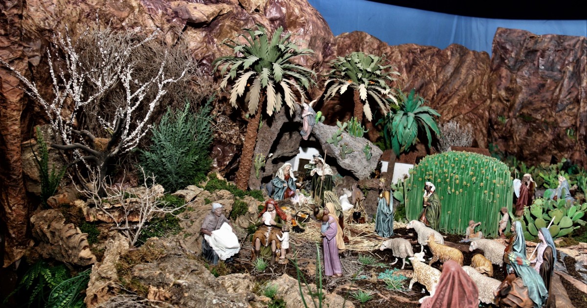 Los cardones y palmeras de Veneguera predominan en el Belén Ornamental de Mogán