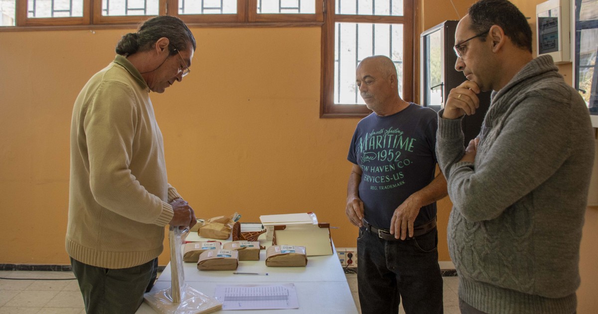 90 agricultores de Mogán, beneficiarios de la segunda campaña contra la polilla de cítricos y olivos