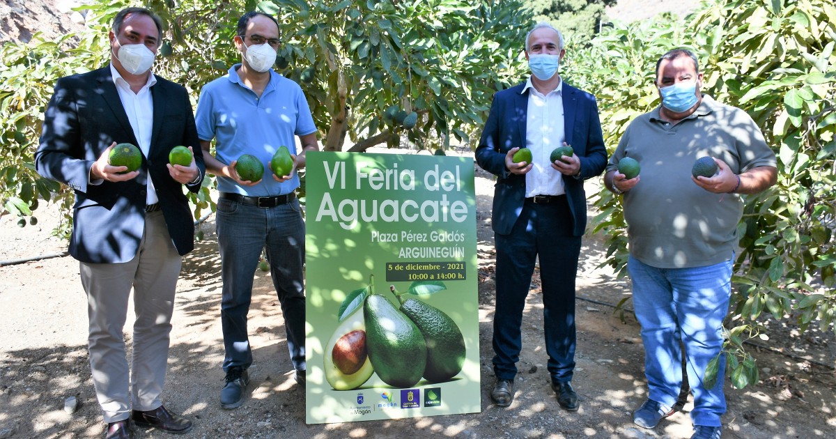 Cuatro toneladas de aguacate de Mogán  a la venta este domingo en Arguineguín