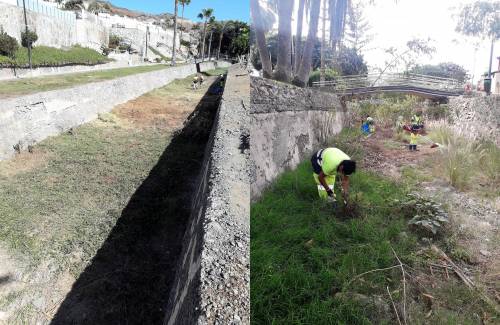 Mogán limpia el Barranco de Puerto Rico