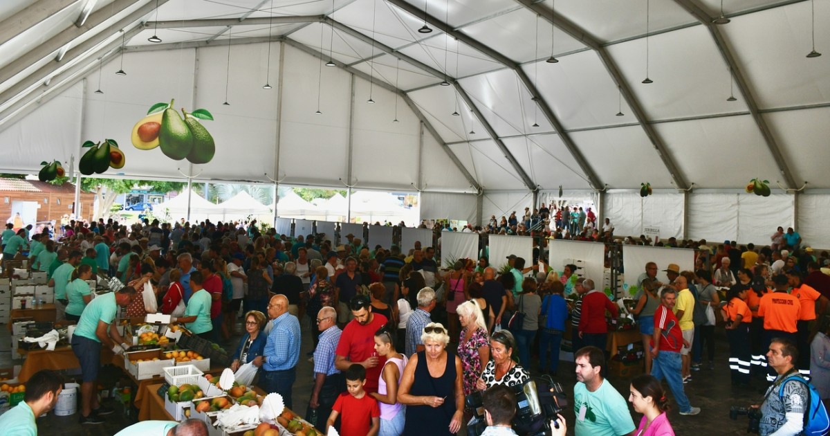 El aguacate reina en Arguineguín  con 6 toneladas a la venta  y 10.000 asistentes en su feria